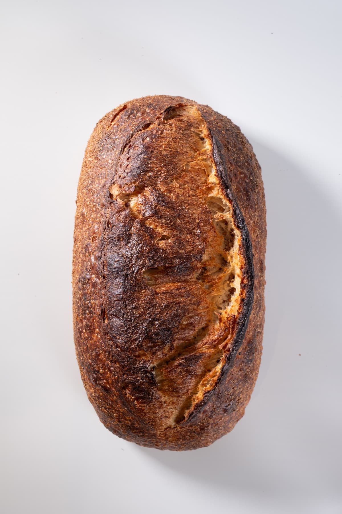 Country Sourdough